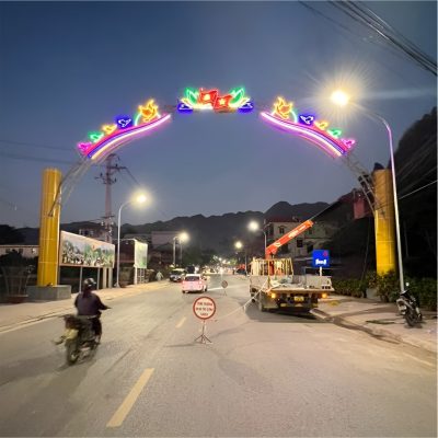 Hoa-trang-tri-do-thi